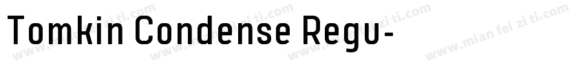 Tomkin Condense Regu字体转换